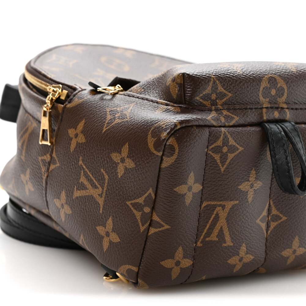 Louis Vuitton Palm Springs Backpack #262334L19B - Picture 8 of 10
